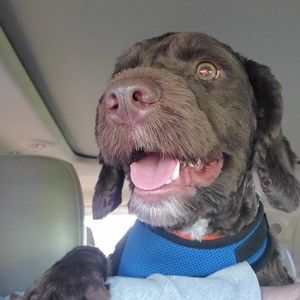 Meet your Posher, Christopher